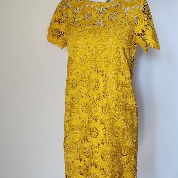 LOFT Dresses Nwt Loft Sunflower Lace Mini Dress Short Sleeve Lined